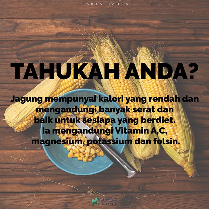 Harini Kami Nak Share Sikit Fakta Dan Rahsia 