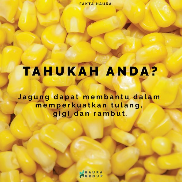 Fakta Haura Harini! 