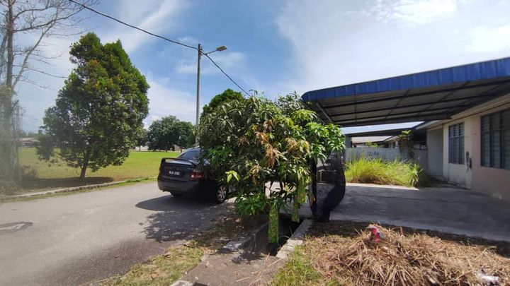 *kos Rendah Teres Setingkat Taman Bukit Rangin Aman 