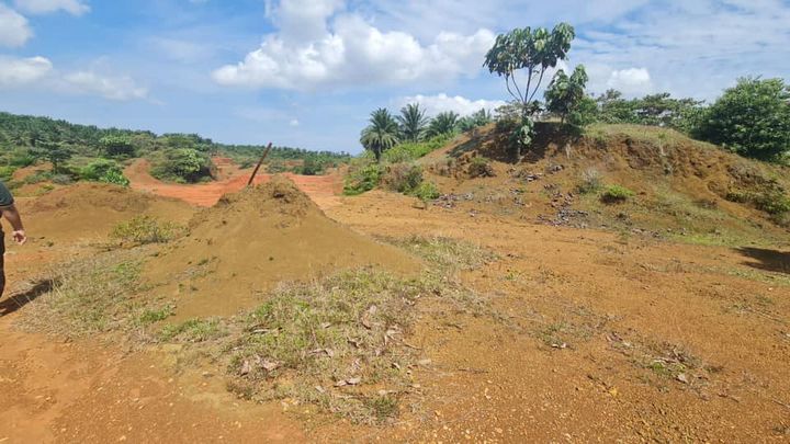 *tanah Pertanian Bukit Goh (sebelah Kotasas)* 