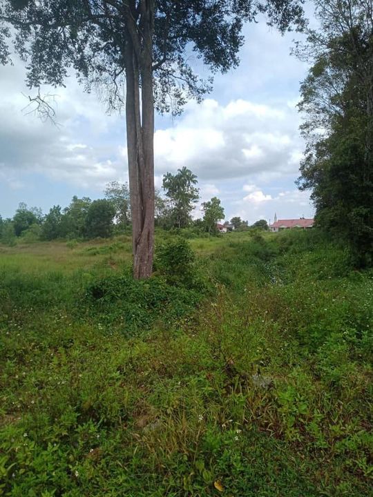 Land At Chengal Lempong Balok Kuantan 