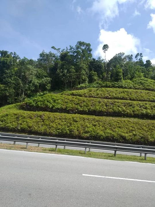 || Tanah Untuk Dijual, Freehold, Open Title || 