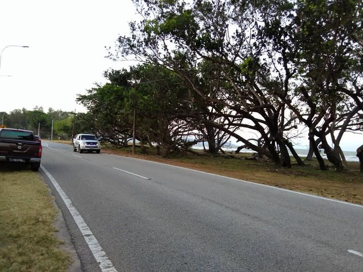 Tanah Pertanian Berhampiran Pantai Sepat Untuk Dijual 