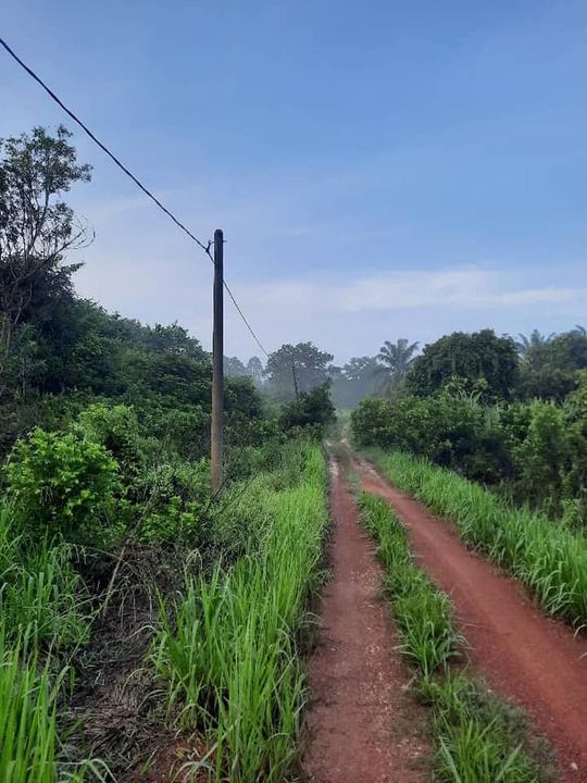 Tanah Pertanian Di Lepar  Jalan Gambang-muadzam Untuk 