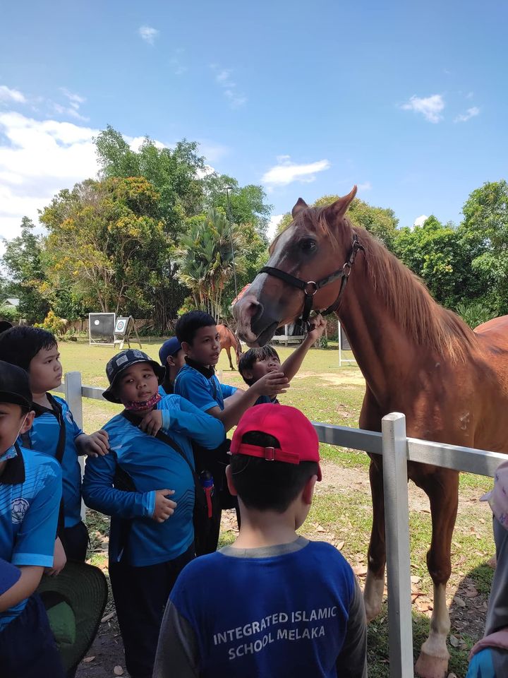 Part 3: Horse Riding 