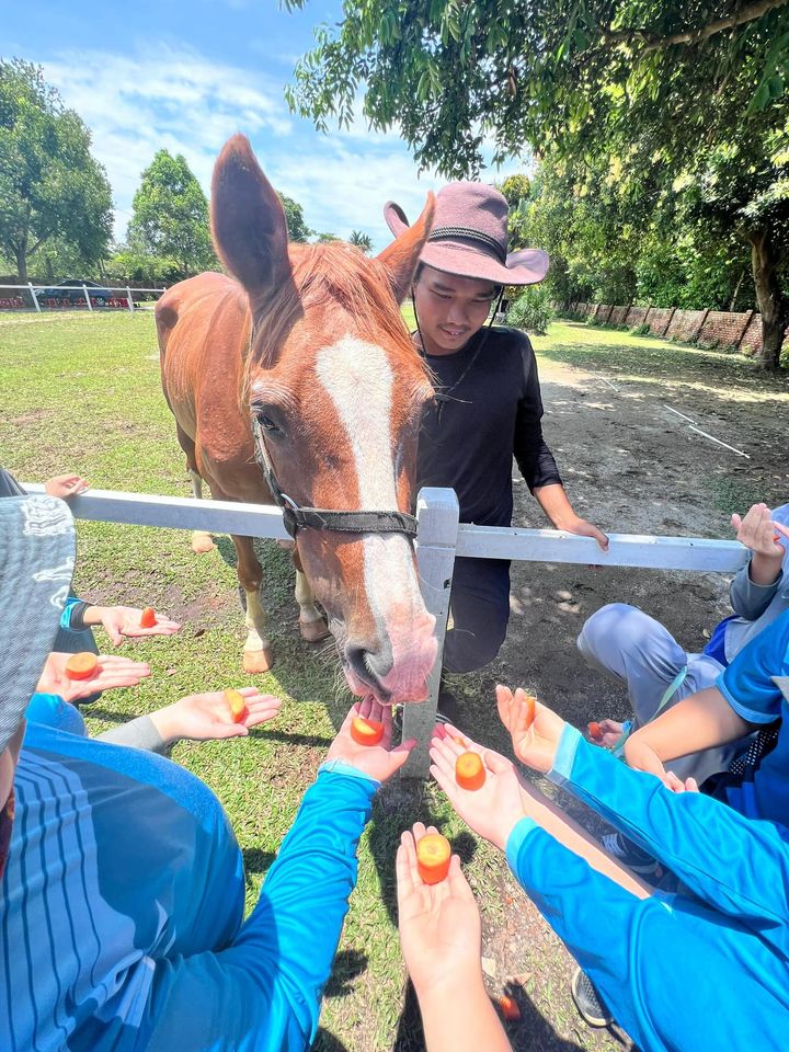 Part 4: Horse Riding 