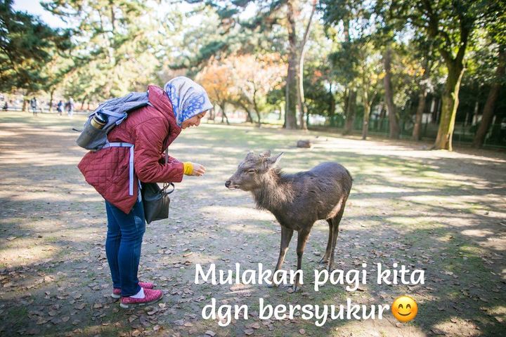Mulakan Pagi Kita Dgn Bersyukur. Listkan Apa Yg Mulakan Pagi Kita Dgn Bersyukur. Listkan Apa Yg