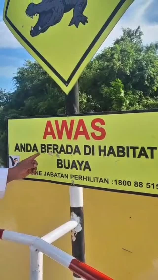 Awas Anda Berada Di Habitat Buaya Buaya Darat 