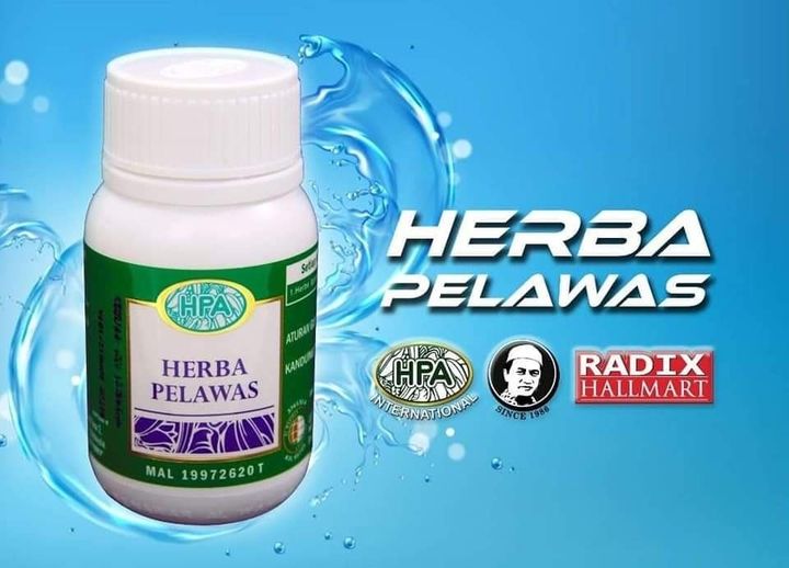 Herba Pelawas Antara Herba Yang Dihasilkan Oleh Hpa 