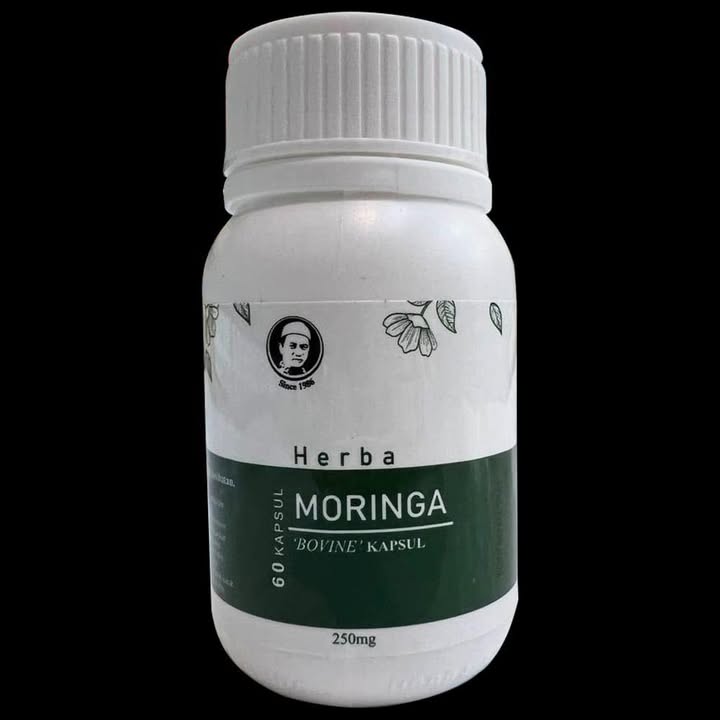 *moringga / Daun Kelor* 