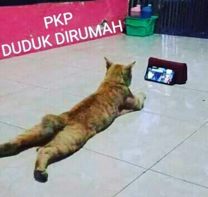 Pkpb Sambung Lagi 4 Minggu Sehingga 6 Disember 