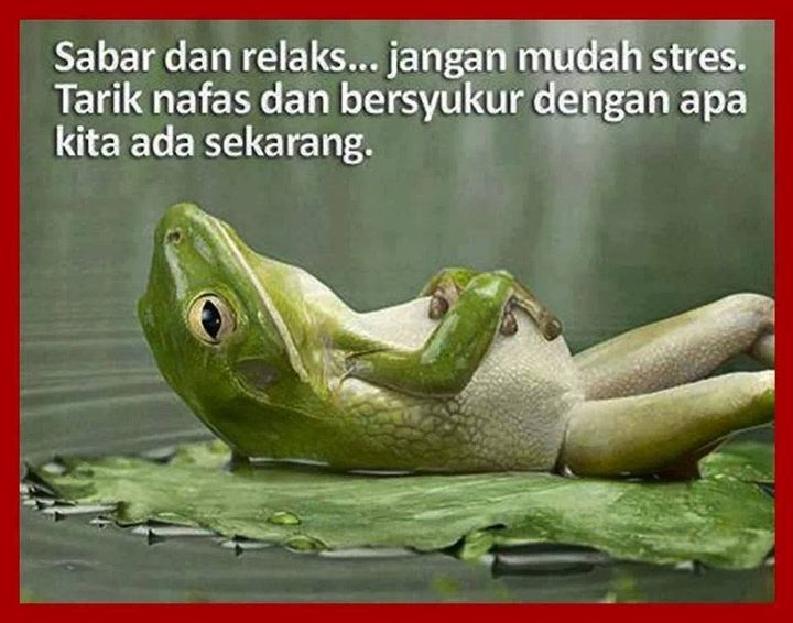 Syukur! Kunci Kebahagiaan.. 