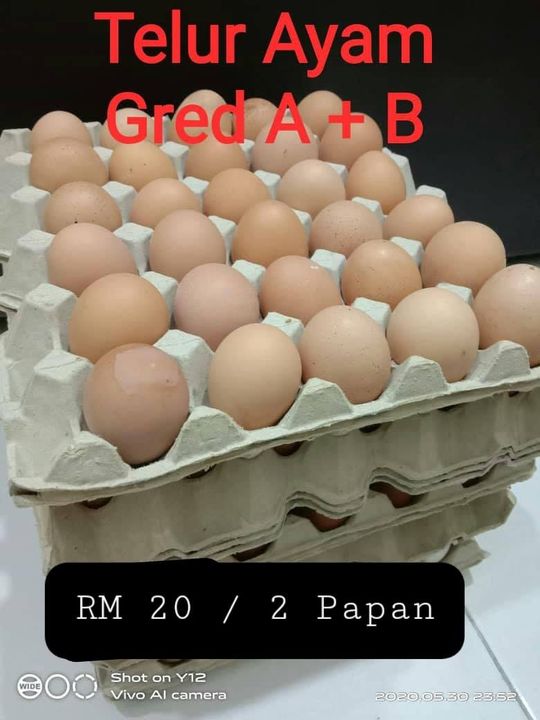 Telur Ayam Dari Kilang Muslim Dimelaka.. Jika Berminat 