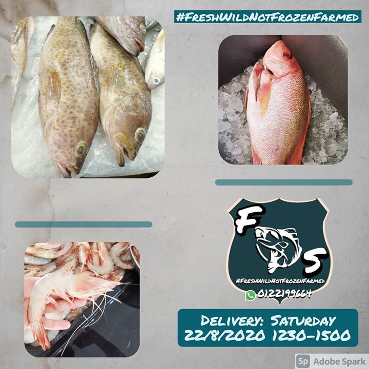 Fresh Seafood Delivery - 22nd August 2020 