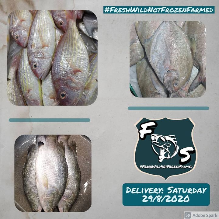 Fresh Seafood Delivery - Saturday, 29th August 2020 