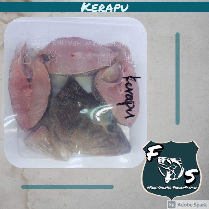 New Packaging - Terus Masak Atau Masuk Freezer 