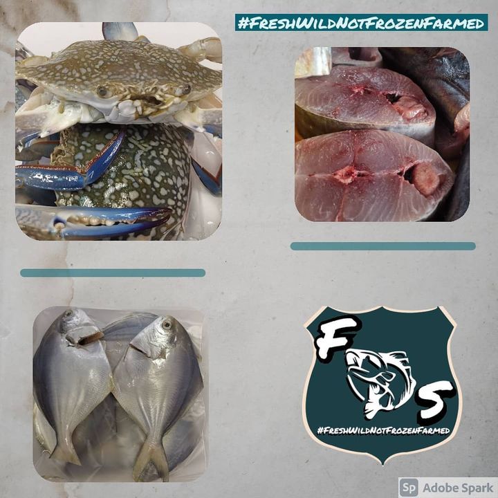 Makanan Laut Segar Bukan Beku Macam Ais 