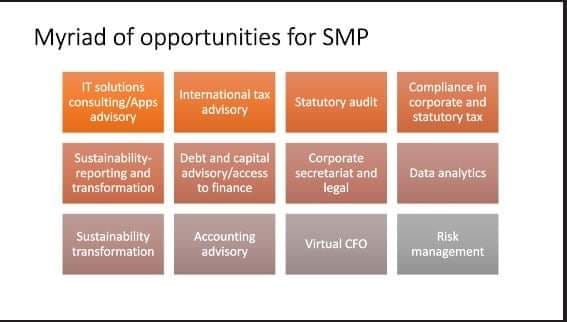 Statutory And Advisory Services Offer By Smps 