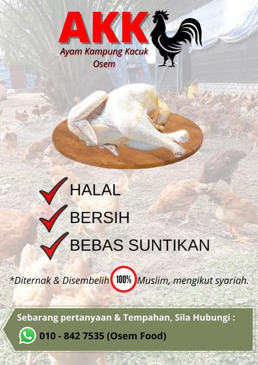 Ayam Kampung Osem 