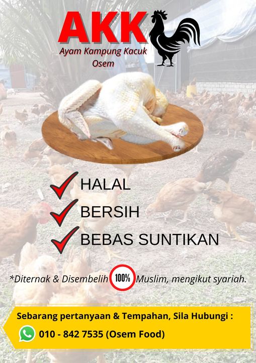 Ayam Kampung Sudah Mari Tuan Puan!! 