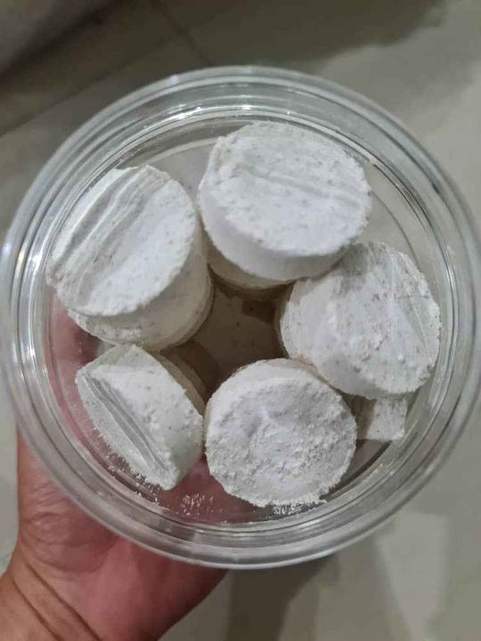 Perhatian Warga Miri Yang Sedang Mencari Sagun Kelapa 