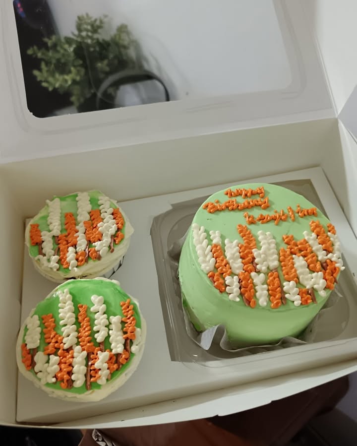 Set Bento 