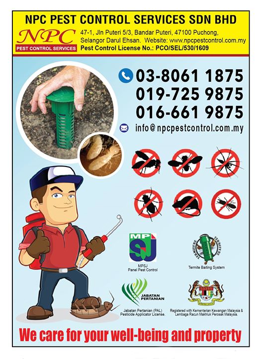 For All Pest Solutions Kindly Call Our Hotline For All Pest Solutions Kindly Call Our Hotline