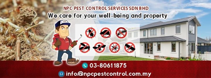 At Npc We Care For Win Win Solution At Npc We Care For Win Win Solution