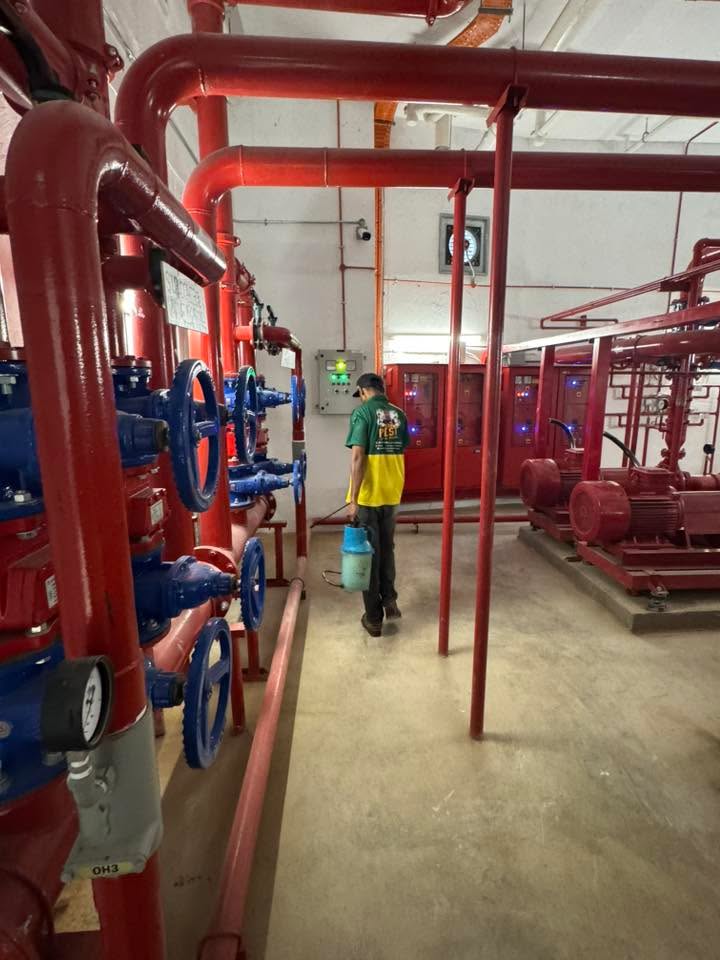 Protecting A New Condominium Before Pests Become A 