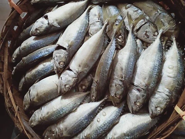 Aslm Meh Kita Nlajo Ikan Rebus Aslm Meh Kita Nlajo Ikan Rebus