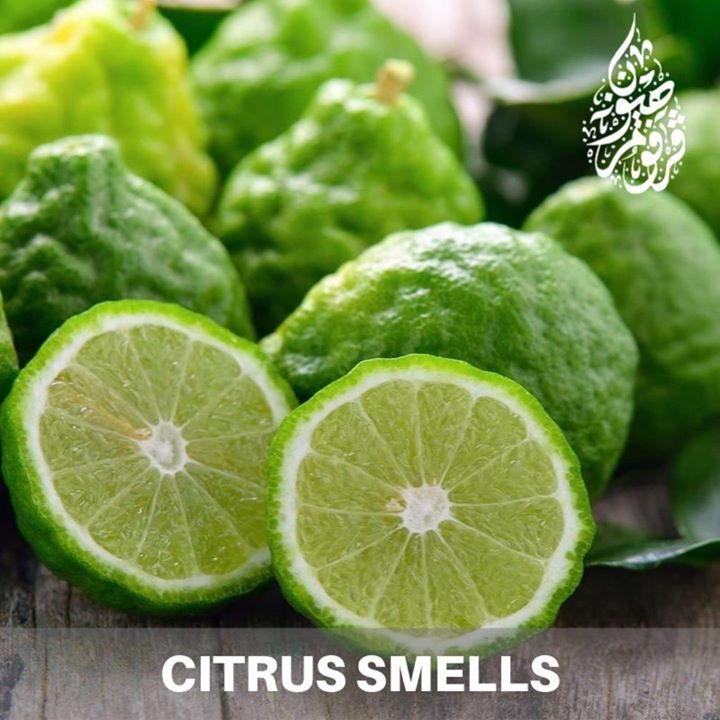 Most Often By Citrus In Perfumery We Describe Most Often By Citrus In Perfumery We Describe