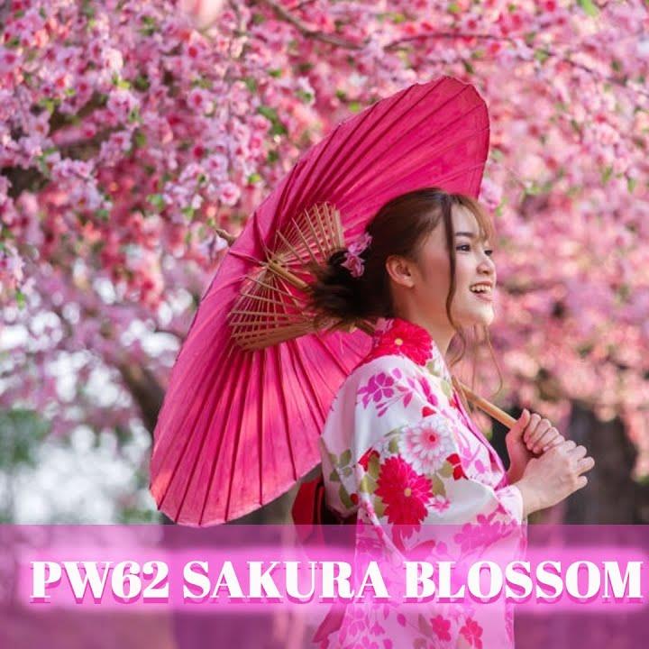 Inilah Sebab Kenapa Ramai Orang Pilih Sakura Blossom Inilah Sebab Kenapa Ramai Orang Pilih Sakura Blossom