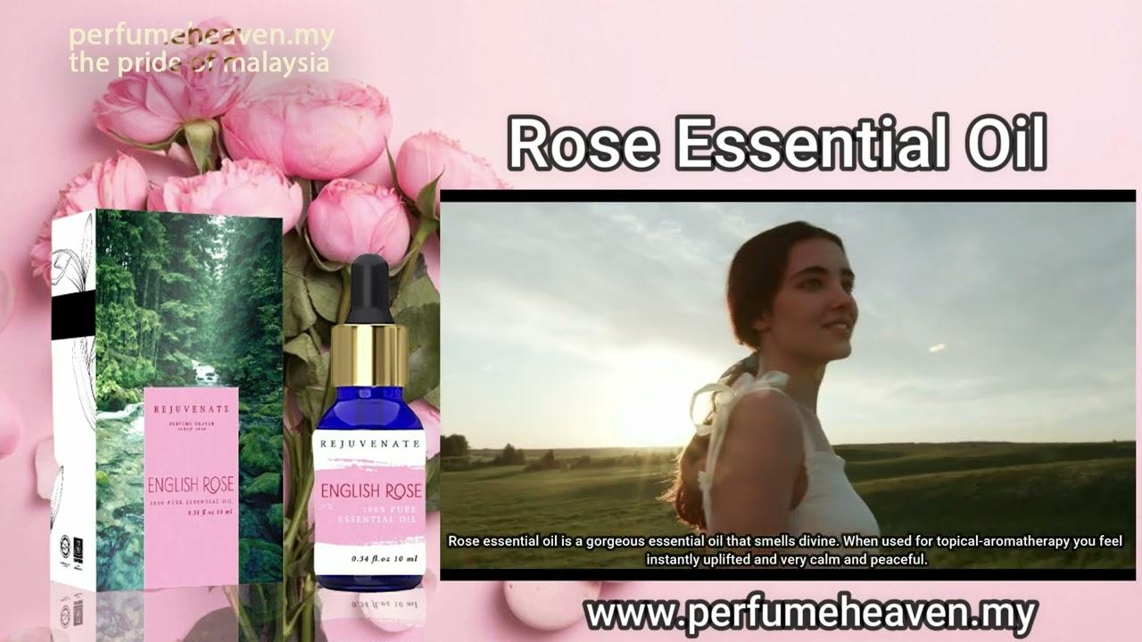 Rose Essential Oil - 100% Pure Undiluted - 