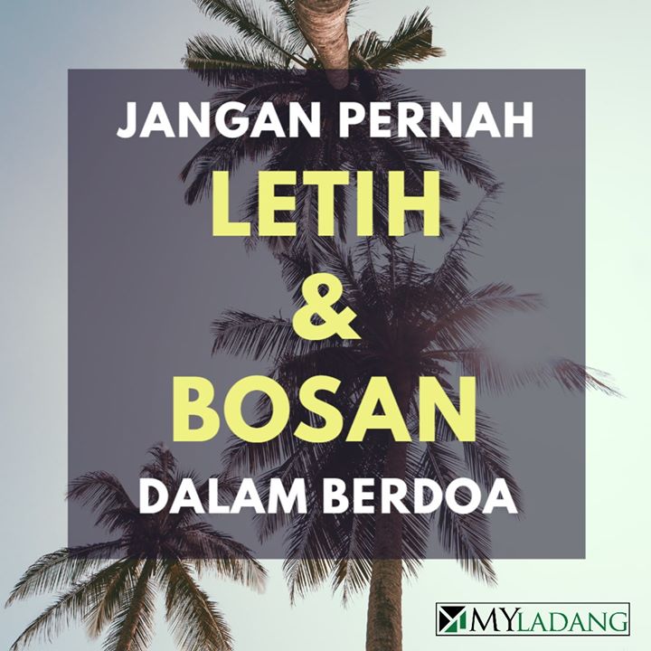 Assalamualaikum Dan Selamat Pagi Sahabat Myladang . Assalamualaikum Dan Selamat Pagi Sahabat Myladang .