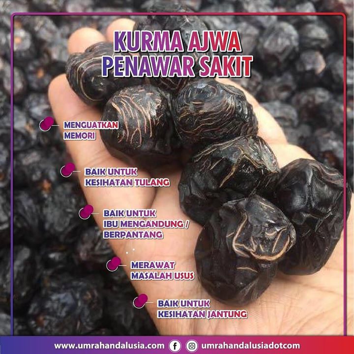 Tahu Tak Kurma Ni Bagus Utk Dimakan Sepanjang 