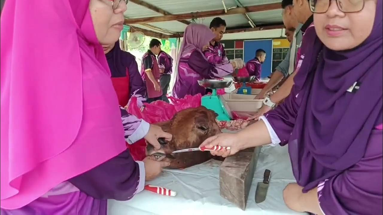 Https://youtu.be/ybexdqnqz0w?si=vcfkmxpkw5aa6pcl 