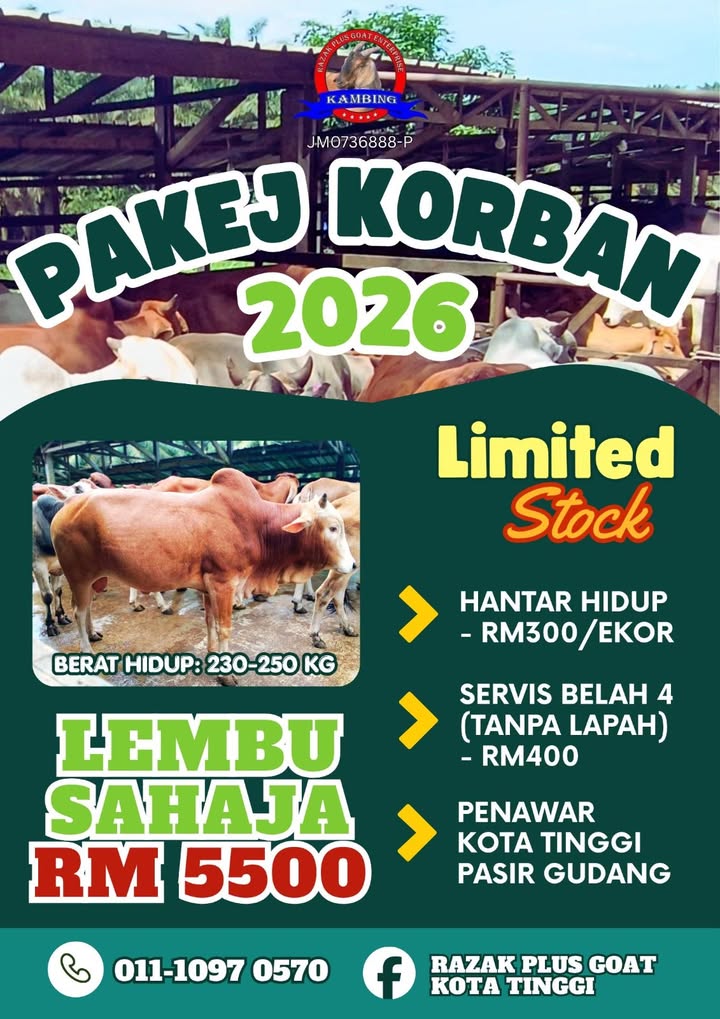 Pakej Korban 2026: Harga Lembu Bermula Rm5500-rm10,000 Atas. 