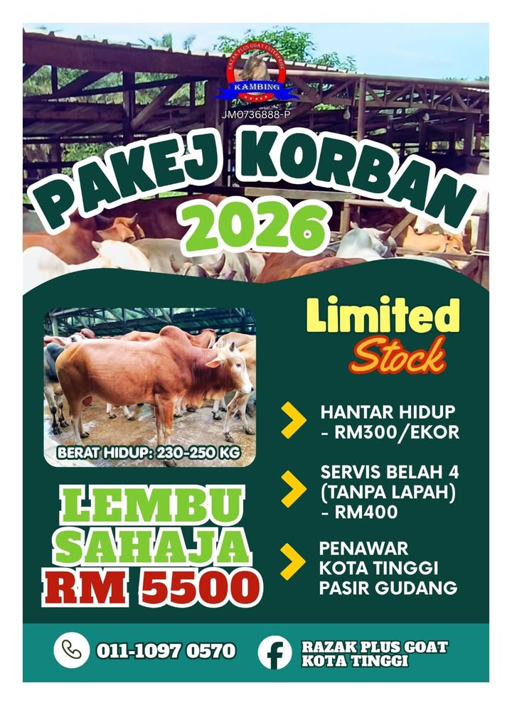 Pakej Korban 2026: Harga Lembu Bermula Rm5500-rm10,000 Atas. 