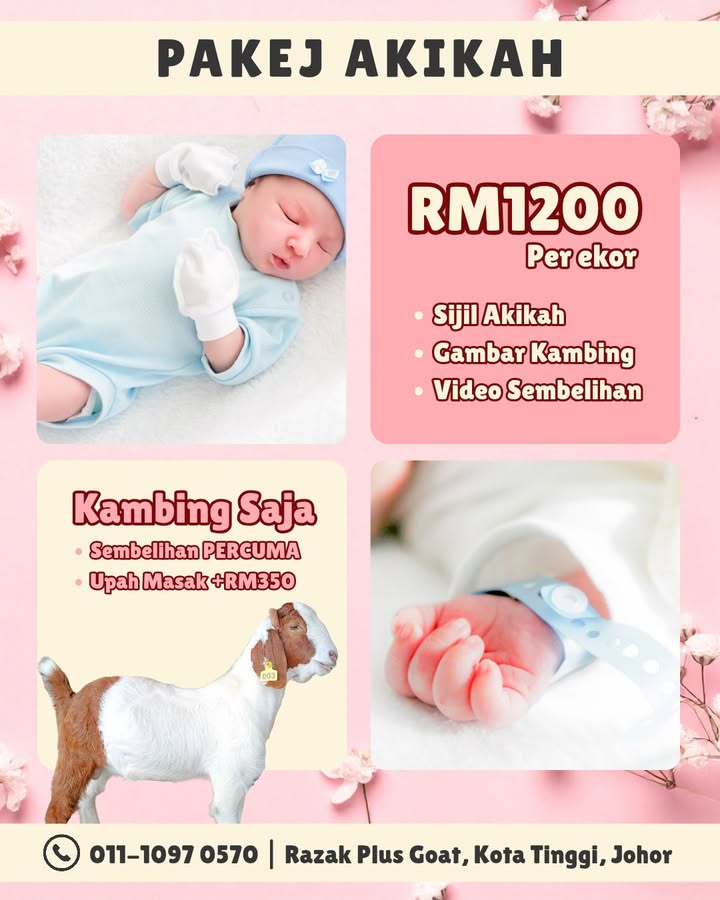 Anak Sudah Besar Tapi Masih Belum Akikah? 