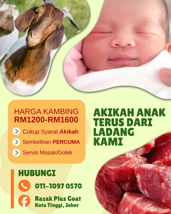 Lunaskan Akikah Anak Anda Terus Dari Ladang Kami. 