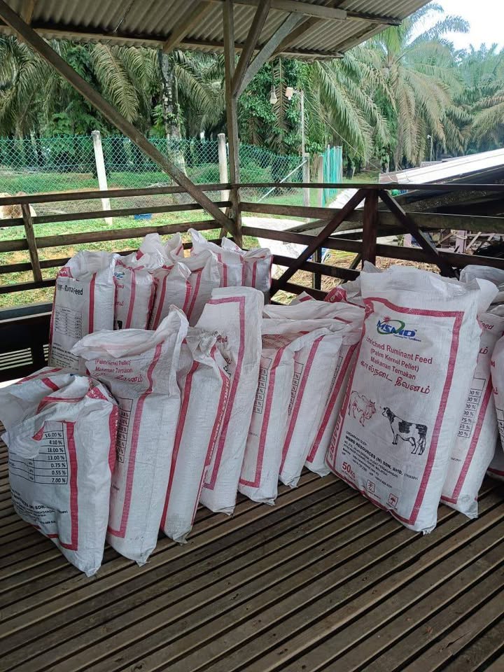 Guni Terpakai Saiz 50kg Masih Elok Digunakan Tak 