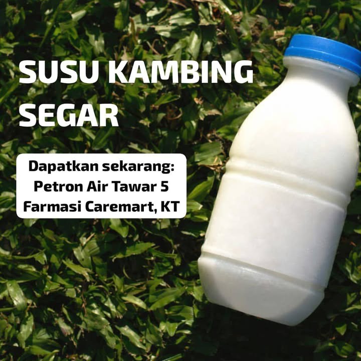 Susu Kambing Segar  