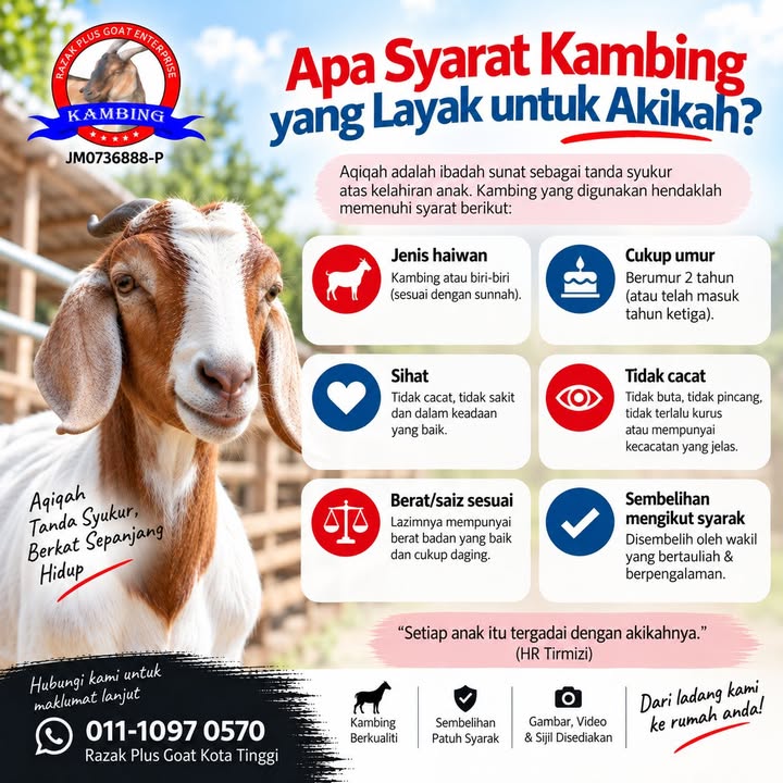 Bukan Semua Kambing Layak Untuk Akikah. 