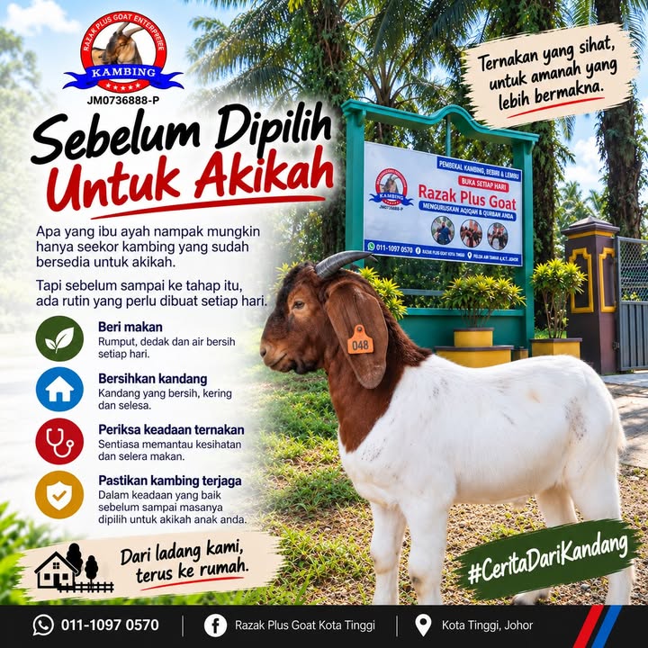 Akikah Bukan Sekadar Pilih Kambing. Ibu Ayah Juga 