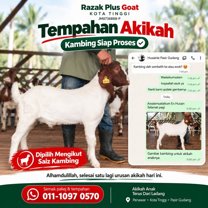 Nak Buat Akikah Tapi Tak Pasti Nak Pilih 