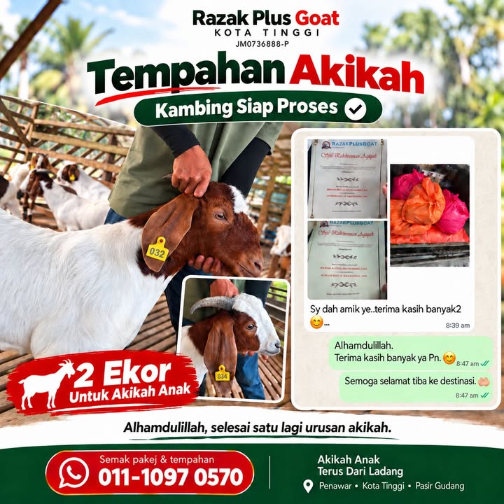 Alhamdulillah, Selesai Satu Lagi Urusan Akikah.  