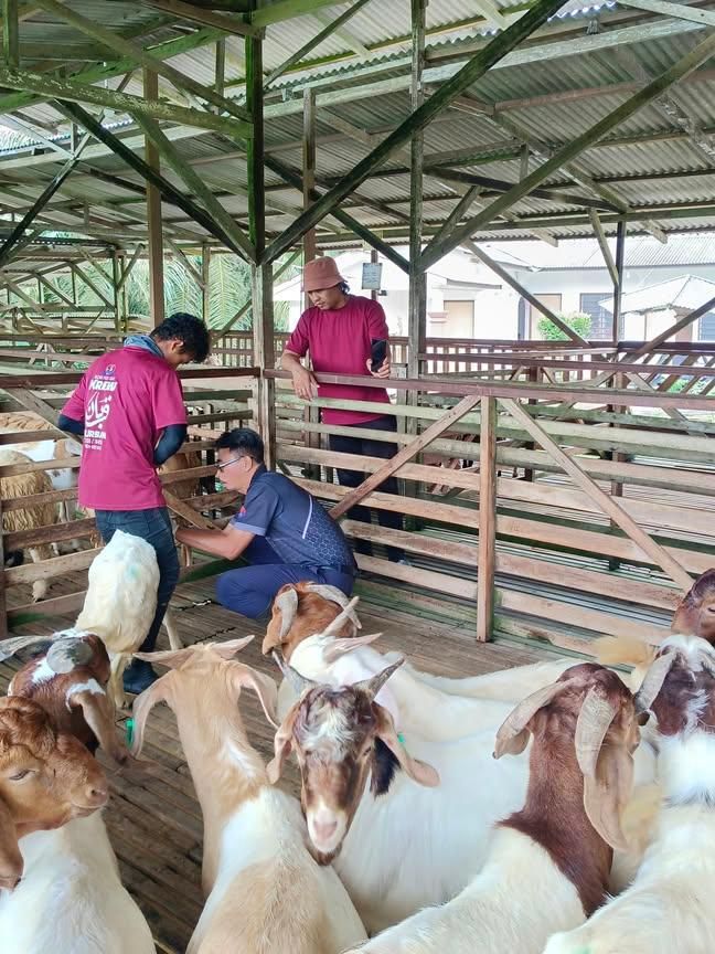 Ibu Ayah Dapat Buat Akikah Anak Dengan Lebih 