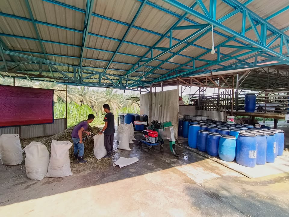 Kandang Auto Nampak Bersih, Rapi & Selesa Untuk 