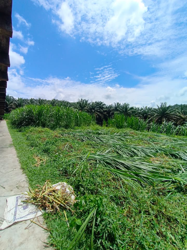 Dalam Sibuk Kita Bekerja Kadang Terlupa Nak Doakan 