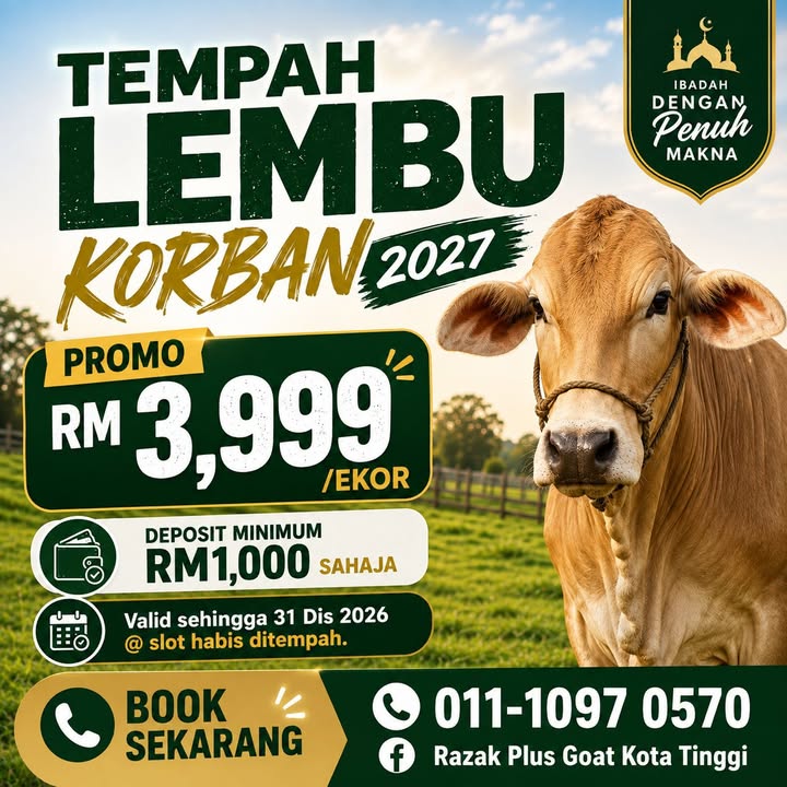 Lembu Sihat, Cukup Umur Dan Body Pun Molek. 